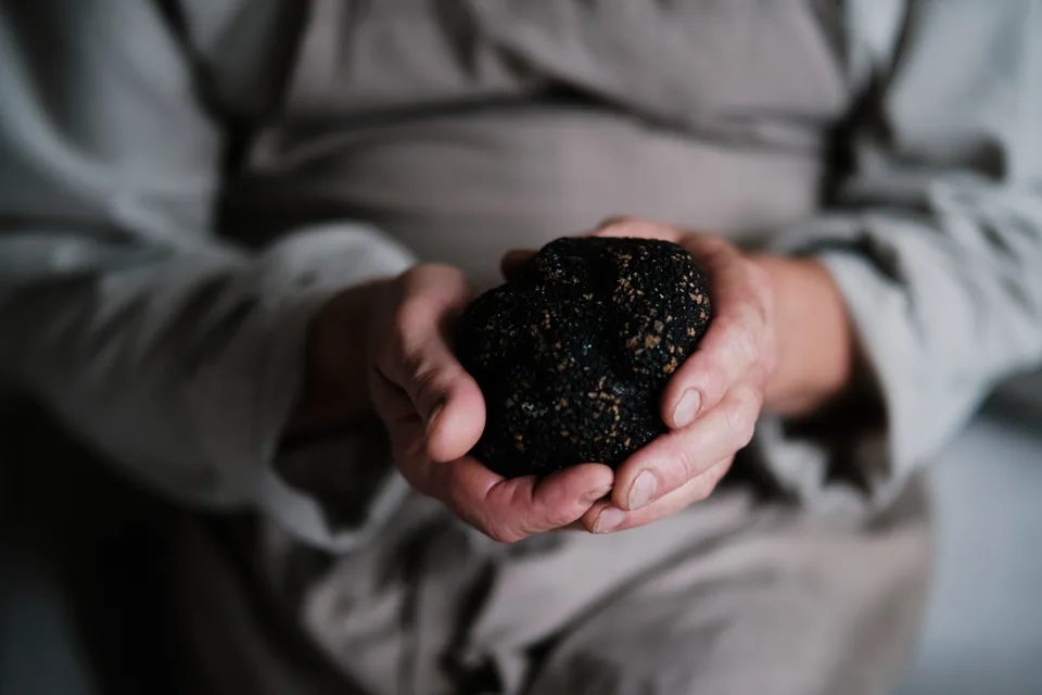 Fresh truffle detail at Restaurante Sebastian